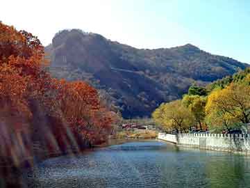 新澳天天开奖资料大全旅游团，萍分石色